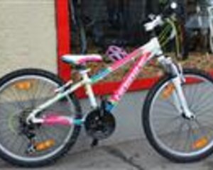 Haibike Little L